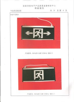 蘇舟鼎盛DS-BLZD-3LRO I E1W-HJ消防應急疏散指示標志燈 高效應急照明解決方案